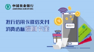 农业银行信用卡邀约客户微信支付消费达标返刷卡金活动