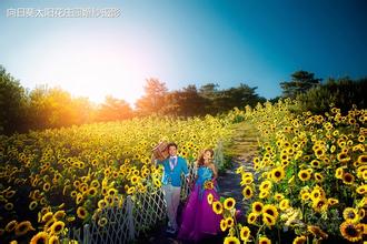 刷兴业银行信用卡，享太阳花婚纱摄影优惠